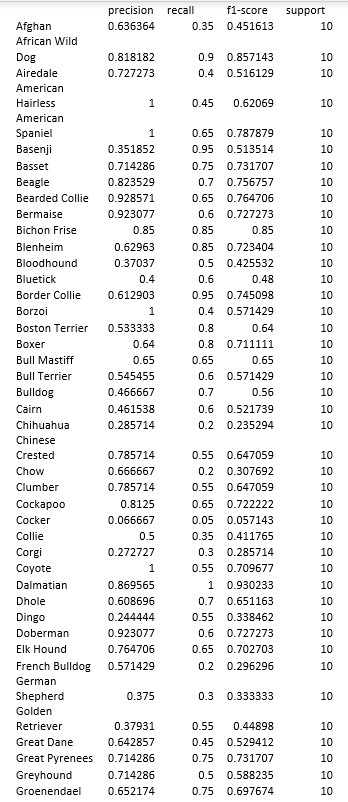 Classification Report 1