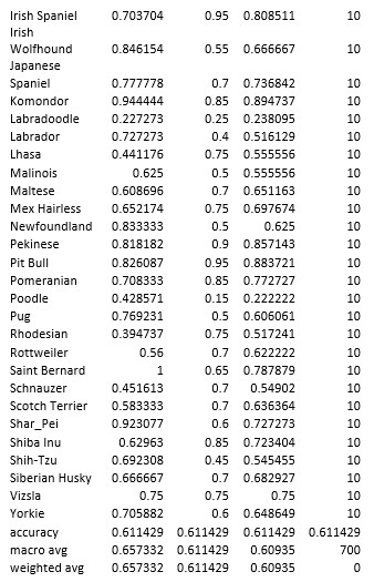 Classification Report 2