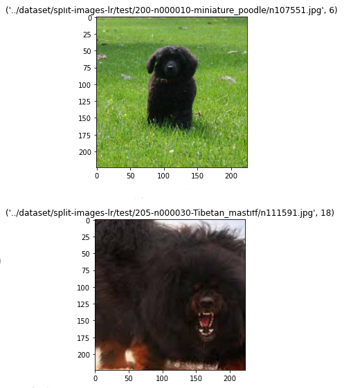 Inaccuracies in KMeans Clustering prediction